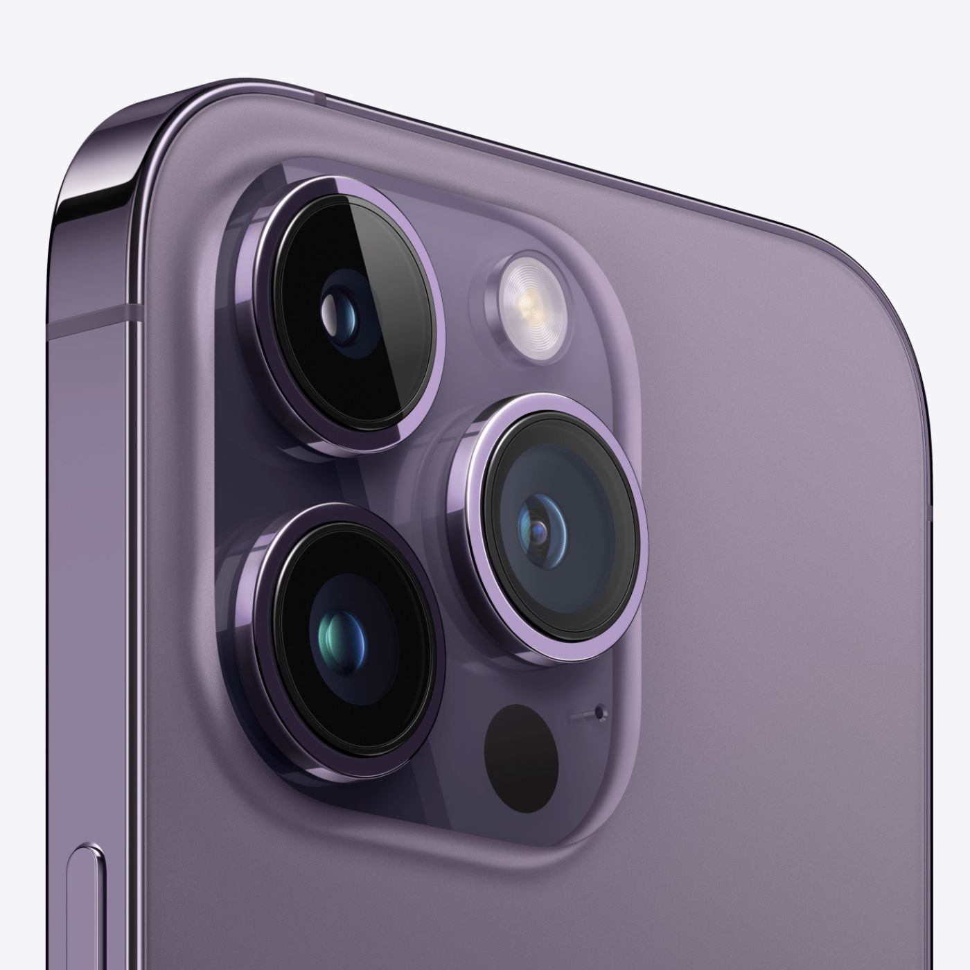 purpble-back