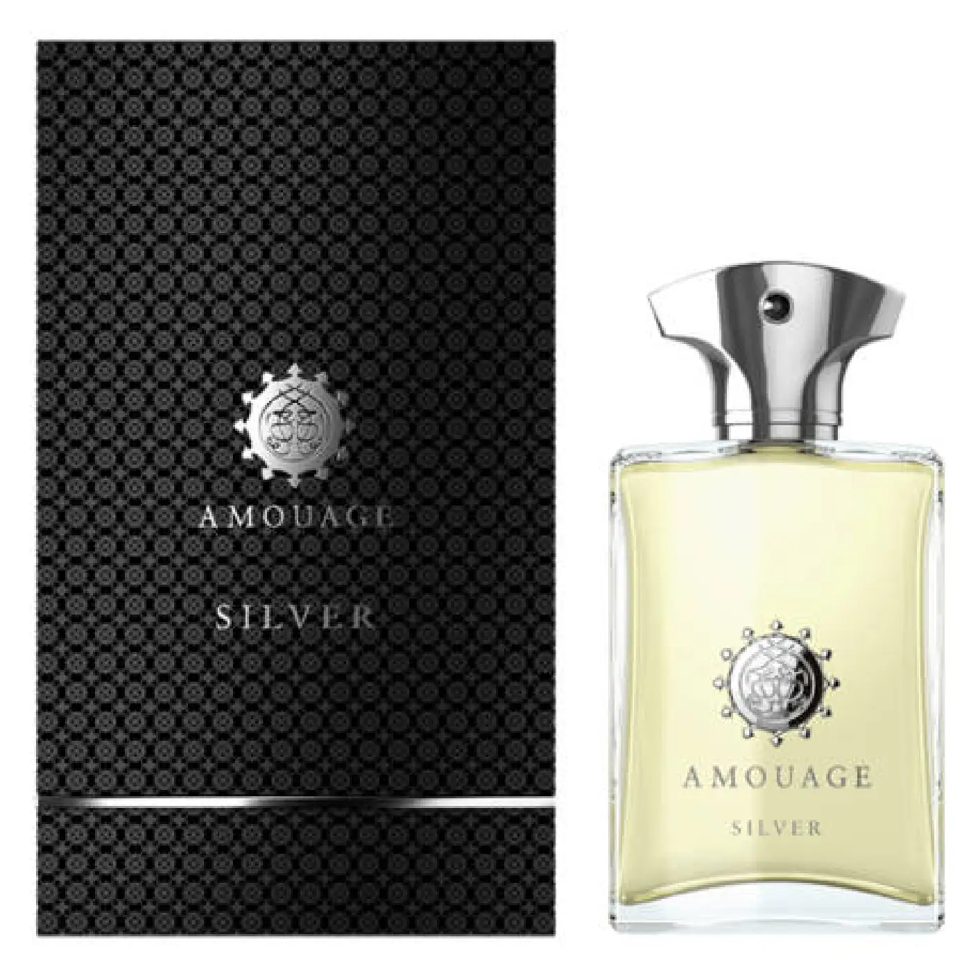 AMOUAGE-SILVER-M-EDP-100ml-